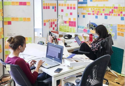 服務設計留學擇校指南 探索百花齊放的英歐院校